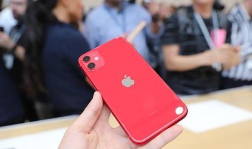 目前这4款iPhone最不值得购买,大降价也要慎重,你入坑了么