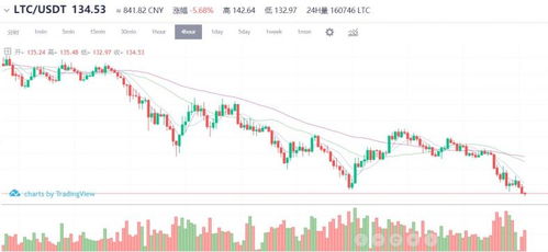 ltc代表什么币