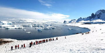 南极旅游需要多少费用,南极旅游：一场心灵与钱包的