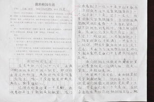 我的语文生活作文300字作文怎么写