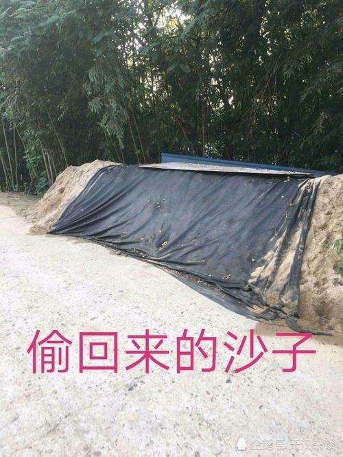 开采河沙犯法吗  第2张