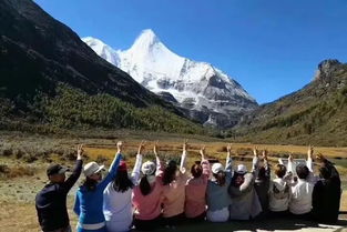 青藏旅游,青藏旅游：探索高原之美