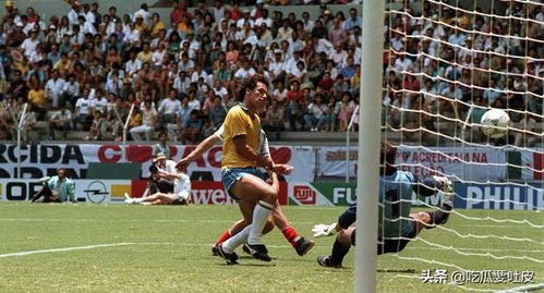 1986年世界杯巴西,巴西队在历届世界杯中的成绩？