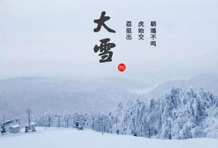 今天大雪优美语句