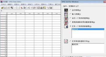 spss13.0软件下载,SPSS 13.0软件下载指南