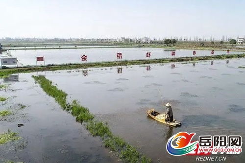 湖南岳阳湘阴鹤龙湖镇