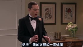Sheldon在Howard 和Bernadette婚礼上的讲话