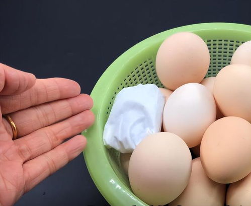 鸡蛋如何保存时间更长,选择新鲜的鸡蛋
