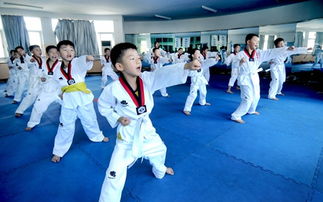 专家建议小朋友学习跆拳道好吗(为什么不建议儿童学跆拳道)(小孩学跆拳道有必要吗)