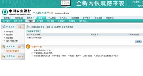 农行信用卡网银查进度农行信用卡申请进度如何查询可以在农行官网上查吗