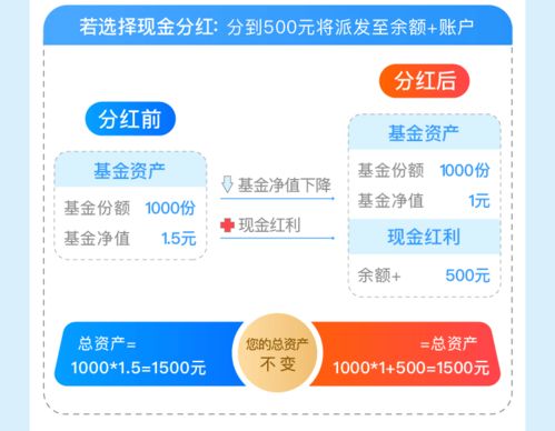 我的基金XD后怎么亏了。分红分到哪里去了？