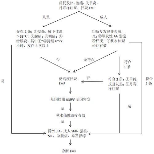 蛋白条带查重案例分析