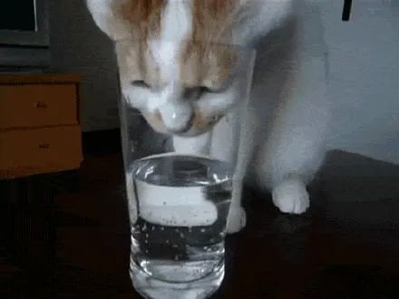 没有比它更纯粹的一只杯,喝水就是要干净