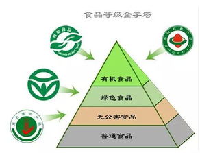 支持绿色低碳算力基础设施：六部门鼓励金融机构加大信贷支持力度