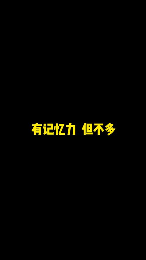 《限定的记忆》