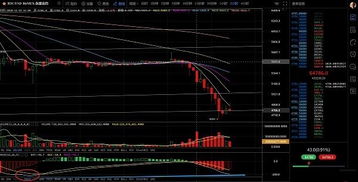 比特币暴跌上千美元,比特币下跌走势或预示美元问题