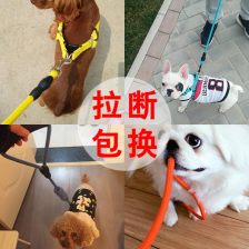 狗链子小型犬泰迪舒适