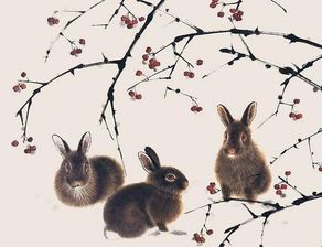 属兔子的养什么花好,兔年养花指南：这些花卉最适合属兔的你！