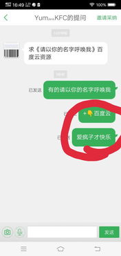 求 请以你的名字呼唤我 百度云资源 