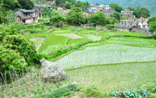 农村平地怎么弄好看 是选择在坡地好还是平地好为什么