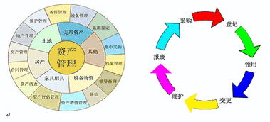 资产管理的定义