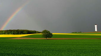 自然彩虹图片大全,所有的自然彩虹照片。