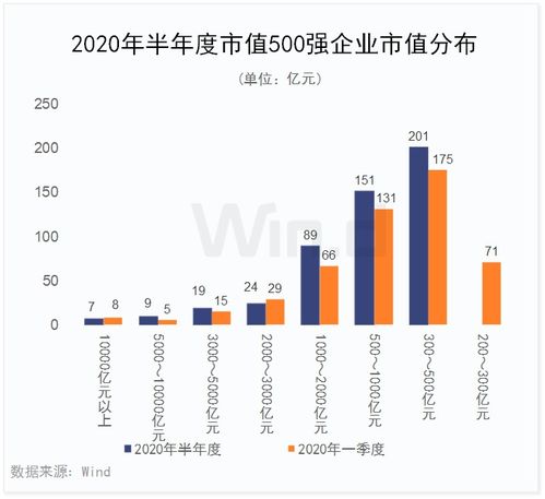 那请问哪家公司市值最多呢?