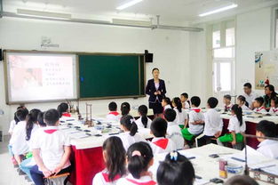 舜耕教育集团舜华学校小学部被命名为 王羲之书法特色学校