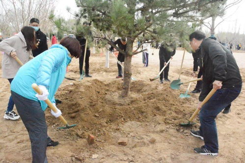 弘扬生态文明 共建森林城市 区总工会组织百名劳模开展义务植树活动