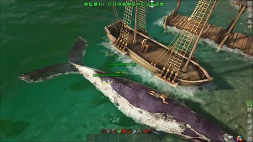 蓝鲸杀人游戏的新闻,蓝鲸游戏：一场残忍的杀人游戏还是一场阴谋？