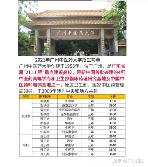 广州中医学院成人自考科目,广州中医药大学成人高考可以报哪些专业？