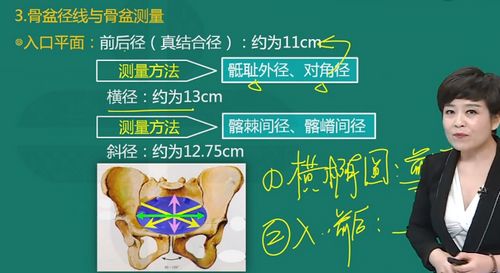 骨盆矫正和骨盆巩固