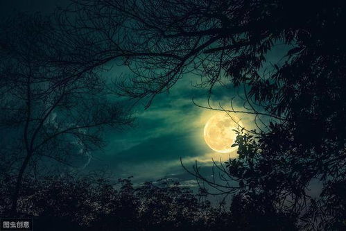 关于月亮抒情的诗句大全