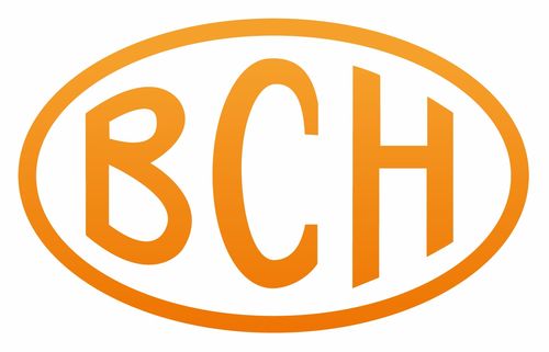 bch币现金价格,后，比特币现金（BCH）的价格会是多少