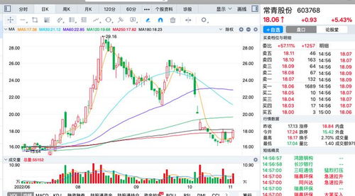 股票跌跌是什么原因