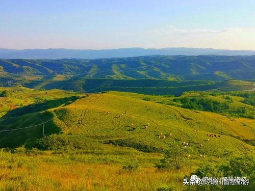 万万没想到家门口竟然有这么漂亮的乡村风景 美到爆