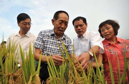 袁隆平因摸了一下奔驰车,被人说买豪车潇洒,键盘侠你们不累吗