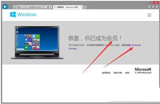 win10系统应用设置中文