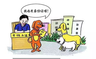 5月1日起,西宁集中整治不文明养犬行为