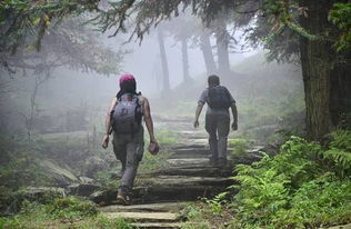 11月12号,广州从化千人登山活动等你来参与 