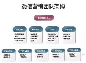 btcs币运作团队,中本聪就这两天就上主网了吗 btcs币运作团队,中本聪就这两天就上主网了吗 生态