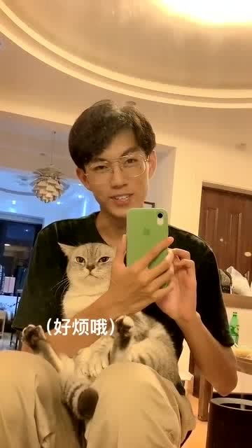 表哥抱着猫猫拍视频,百因必有果你的报应就是我,猫猫动作亮了 