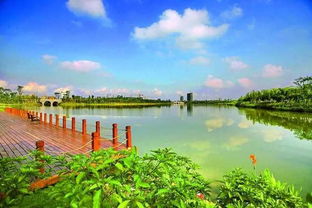 旺兴湖公园：城市中的绿洲，让你沉醉的自然之美！