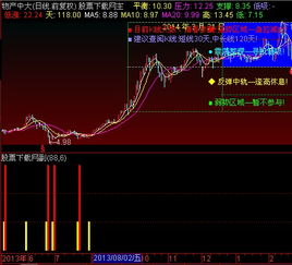 股票中主力仓指标代码