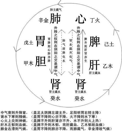 教你如何区分 阴虚 和 阳虚 ,一学就会 一调就好