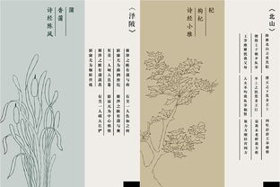 诗经里植物四字词语及解释-樛木诗经注音朗读赏析？