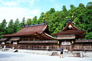 山寺日高是什么字，山寺日高的意思