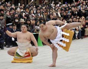 为何日本娇小的美女,都喜欢体型 庞大 的相扑运动员 让人意外