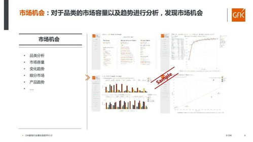 新市场拓展战略规划：探索与布局未来商机