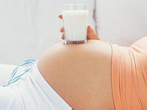 蛋白质摄入量过高会影响受孕几率,是真的吗
